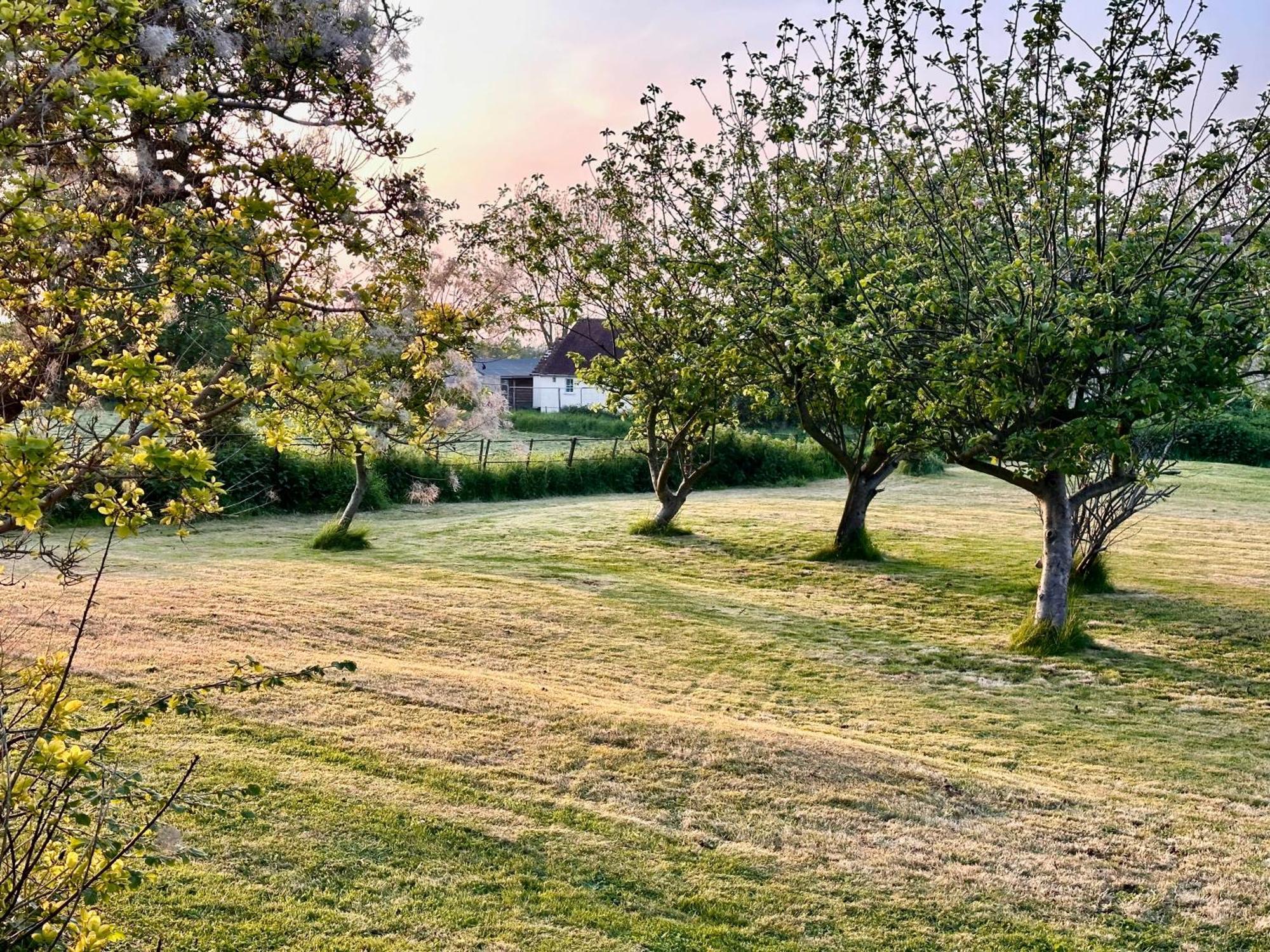 Octon Cottages Luxury 1 And 2 Bedroom Cottages 1 Mile From Taunton Centre Exterior photo